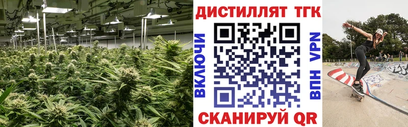 купить наркотик Нытва mega ссылка Дистиллят ТГК Wax