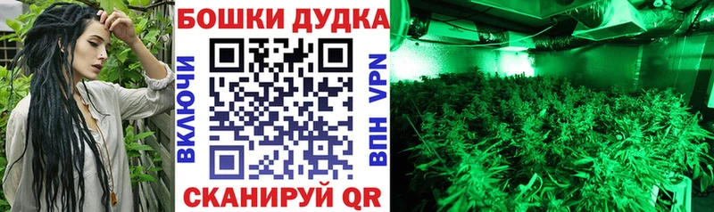 Конопля AK-47 Нытва
