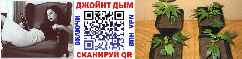 Каннабис тримм  Нытва 